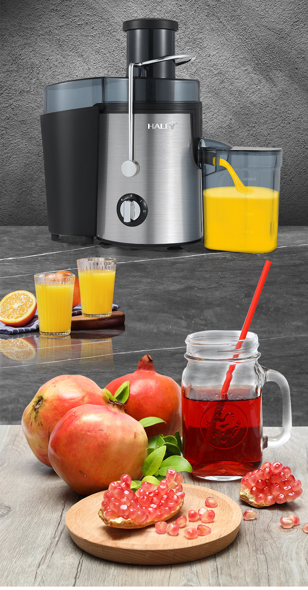 Storcător Electric Fructe și Legume HALEY 1000W – Panou Touch, Motor Puternic, Silențios, 500ml